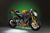 Benelli TnT Café Racer 2008