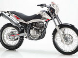 Beta Alp 4.0 2008