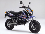 Kawasaki KSR 110 2008