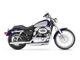 Harley-Davidson XL 1200 C Sportster Custom 2006