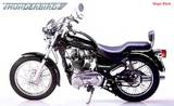 Enfield Thunderbird 2005