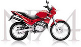 Honda NX4 Falcon 2005