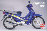 Kanuni Tigrina 100 2005